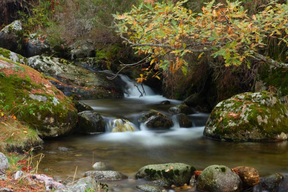 Arroyo de montaña